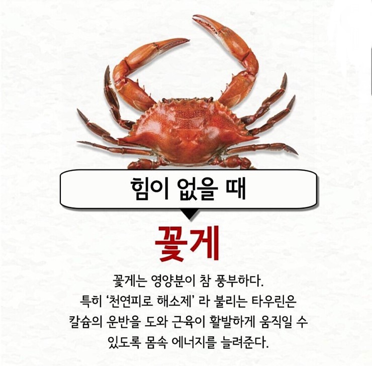 컨디션이 안좋을 때의 처방