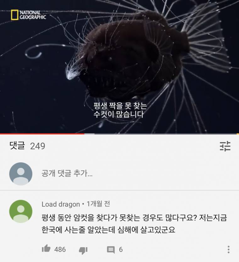 우리는 사실 한국에 살고있지 않습니다