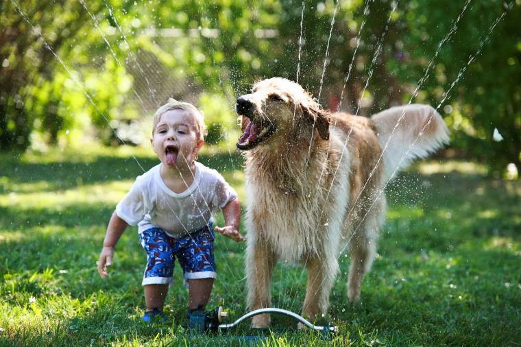 Golden-and-boy-in-sprinkler.jpg