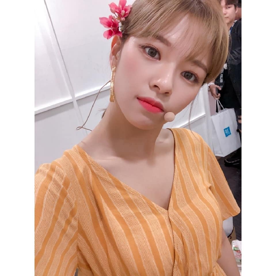 twicetagram_37619667_228450297781691_5661994926062174208_n.jpg