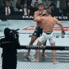 UFC 302 ĸź.gif